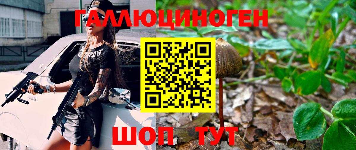 Галлюциногенные грибы Psilocybine cubensis Йошкар-Ола