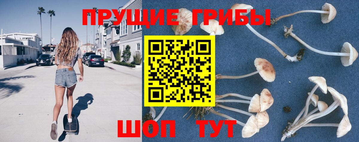Галлюциногенные грибы Cubensis  Вход с VPN  Йошкар-Ола 